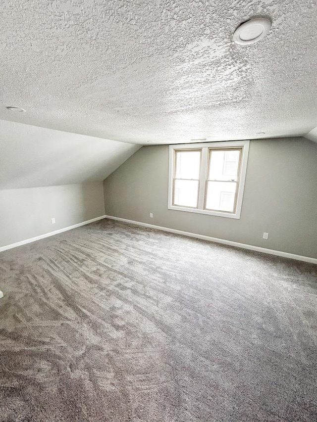 384 N Grand Ave, Bradley, IL 60915 - additional living space with carpet floors, lofted ceiling, baseboards, and a textured ceiling