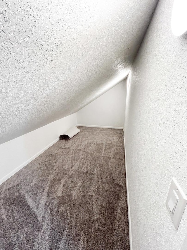384 N Grand Ave, Bradley, IL 60915 - bonus room featuring a textured ceiling, carpet, lofted ceiling, and baseboards
