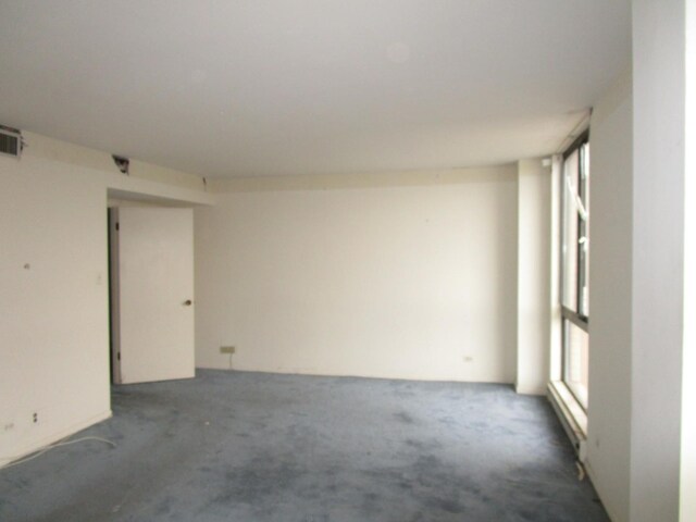 465 W Dominion Dr Unit 1003, Wood Dale, IL 60191 - photo 23