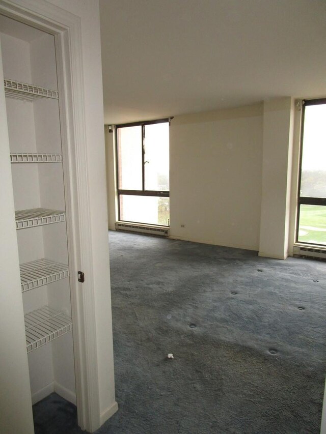 465 W Dominion Dr Unit 1003, Wood Dale, IL 60191 - photo 29