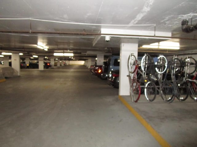 465 W Dominion Dr Unit 1003, Wood Dale, IL 60191 - photo 35