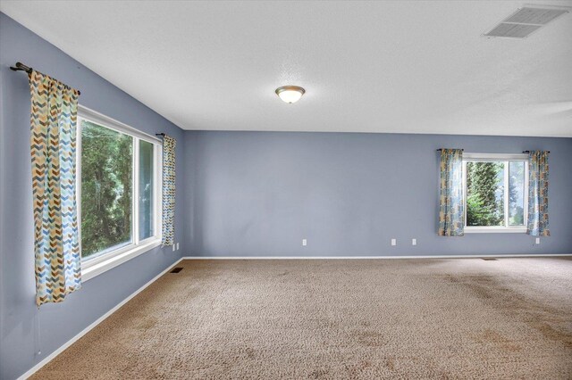 3112 Valerie Dr, Champaign, IL 61822 - carpeted empty room with plenty of natural light and a textured ceiling