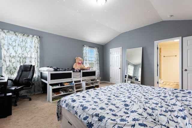 2899 Church Rd, Aurora, IL 60502 - bedroom with lofted ceiling and light colored carpet