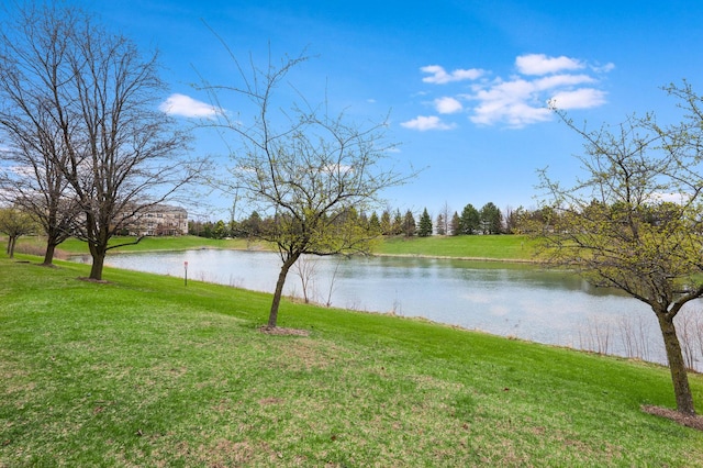 2899 Church Rd, Aurora, IL 60502 - water view