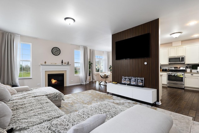 2899 Church Rd, Aurora, IL 60502 - living area with plenty of natural light, dark wood-style floors, and a warm lit fireplace