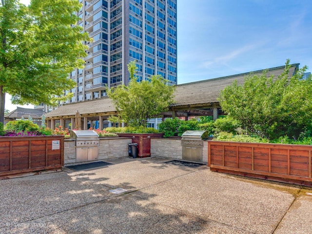 4250 N Marine Dr Unit 1929, Chicago, IL 60613 - view of patio with exterior kitchen and area for grilling