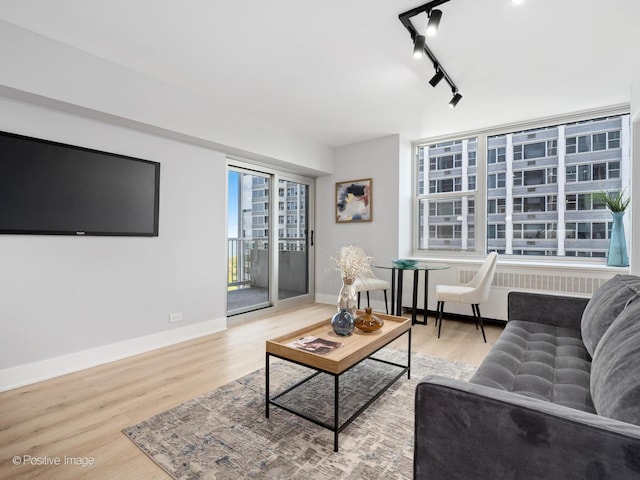 4250 N Marine Dr Unit 1929, Chicago, IL 60613 - living area featuring wood finished floors, baseboards, and track lighting