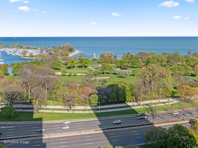 4250 N Marine Dr Unit 1929, Chicago, IL 60613 - drone / aerial view of a nearby body of water