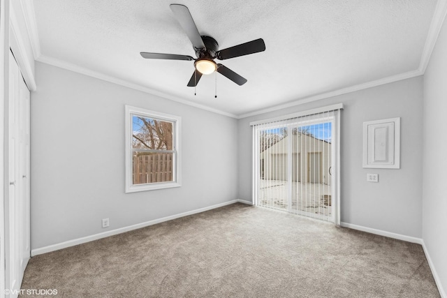 19 N Iowa Ave, Addison, IL 60101 - carpeted empty room featuring crown molding, baseboards, a textured ceiling, and ceiling fan