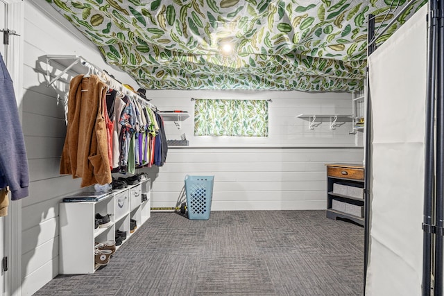 spacious closet with carpet