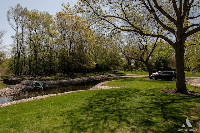 1016 N Knollwood Dr, Palatine, IL 60067 - view of grassy yard