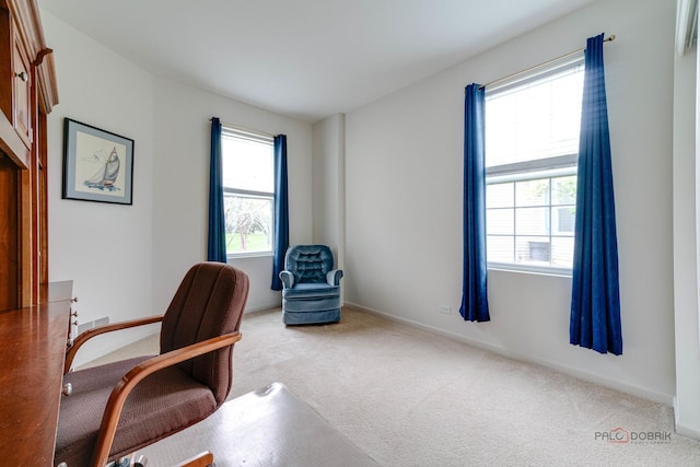 604 S Essington Dr, Round Lake, IL 60073 - carpeted office space featuring baseboards