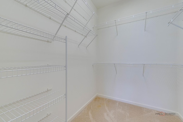 604 S Essington Dr, Round Lake, IL 60073 - walk in closet featuring carpet floors