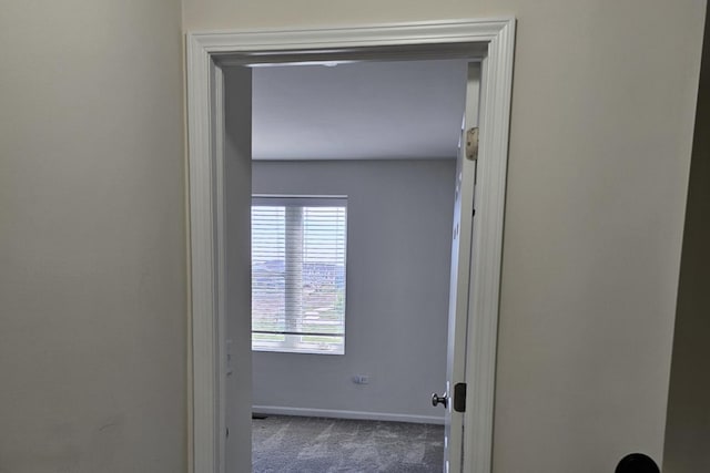 858 Finley Dr, Aurora, IL 60504 - hallway with carpet flooring, healthy amount of natural light, and baseboards