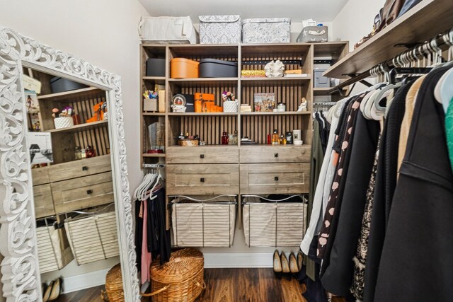 711 S River Rd Unit 503, Des Plaines, IL 60016 - spacious closet with dark wood-style floors