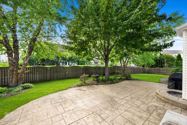 24001 W Walnut Cir, Plainfield, IL 60585 - view of patio