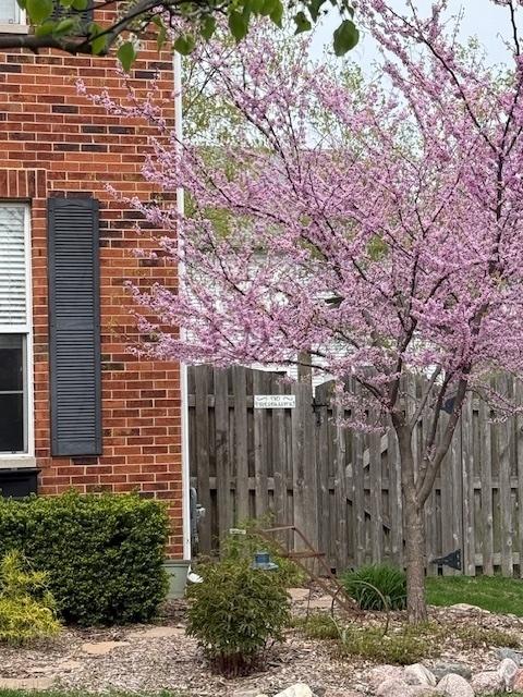 24001 W Walnut Cir, Plainfield, IL 60585 - view of home's exterior with brick siding