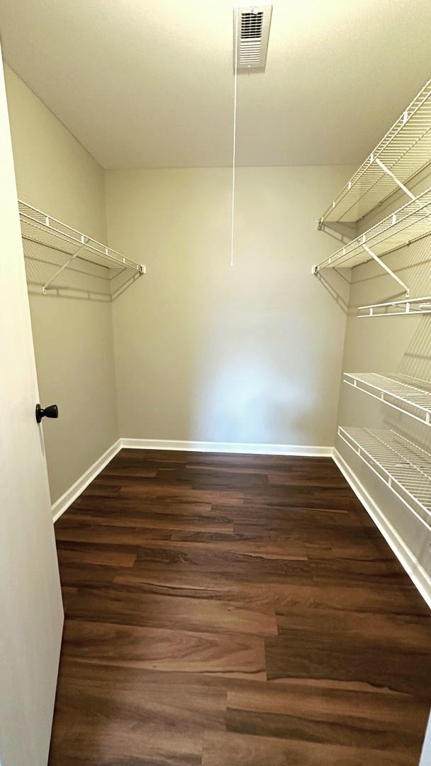 347 Village Creek Dr, Lake In The Hills, IL 60156 - spacious closet with dark wood-type flooring