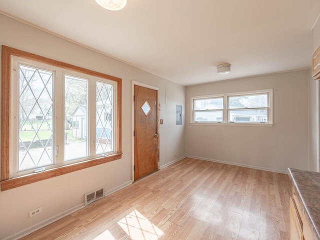 348 Behm Dr, Grayslake, IL 60030 - foyer with light wood finished floors, electric panel, and baseboards