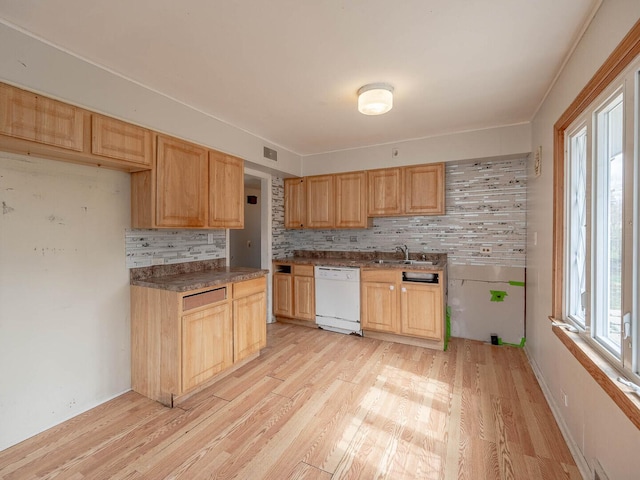 348 Behm Dr, Grayslake, IL 60030 - kitchen featuring white dishwasher, tasteful backsplash, and light wood-type flooring