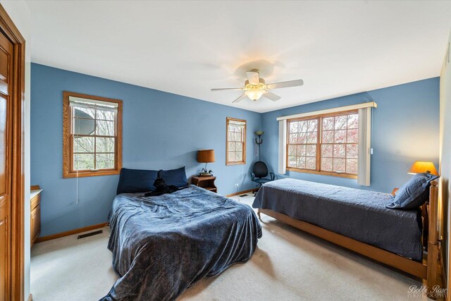 1303 Westley Ln, West Dundee, IL 60118 - photo 28