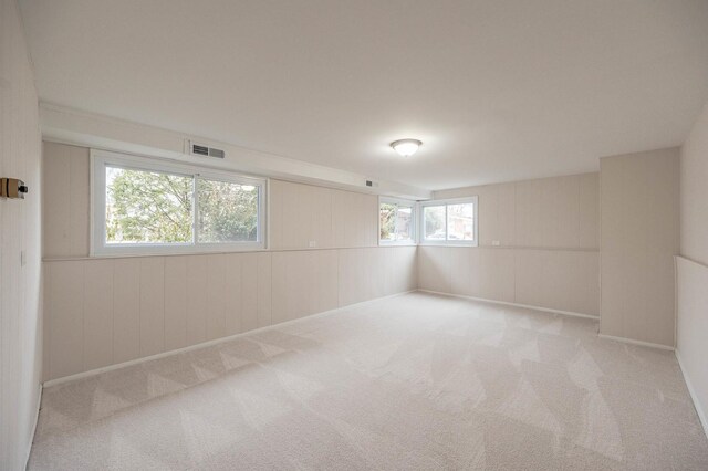 640 Enterprise Rd, Chicago Heights, IL 60411 - unfurnished room with carpet and wooden walls