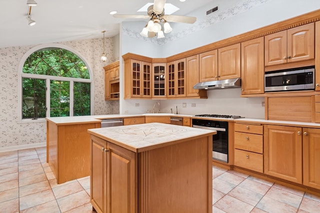 12811 S 82nd Ct, Palos Park, IL 60464 - kitchen featuring wallpapered walls, appliances with stainless steel finishes, under cabinet range hood, a kitchen island, and a sink