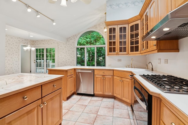 12811 S 82nd Ct, Palos Park, IL 60464 - kitchen with extractor fan, stainless steel appliances, wallpapered walls, a sink, and a peninsula