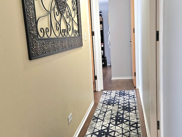 7251 Randolph St Unit C5, Forest Park, IL 60130 - hall featuring baseboards and wood finished floors
