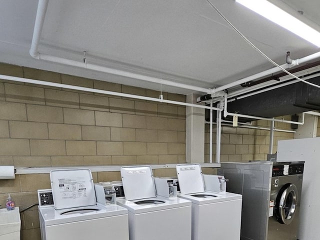 7251 Randolph St Unit C5, Forest Park, IL 60130 - community laundry room featuring washing machine and clothes dryer