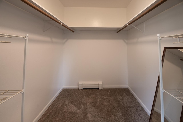 922 E Old Willow Rd Unit 204, Prospect Heights, IL 60070 - walk in closet featuring carpet and baseboard heating