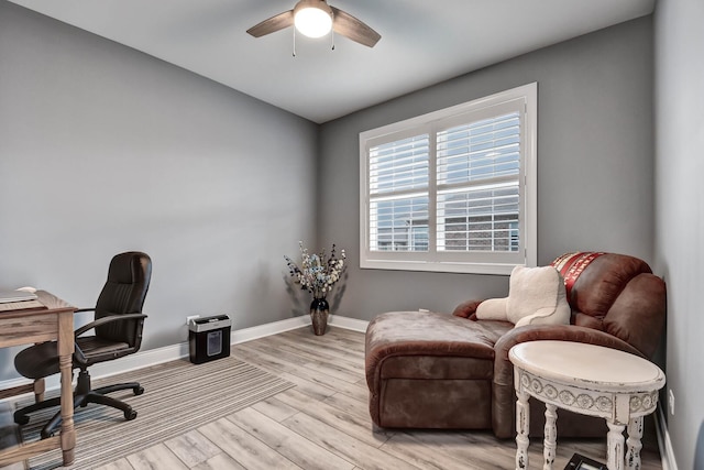 office featuring ceiling fan, baseboards, and light wood-type flooring