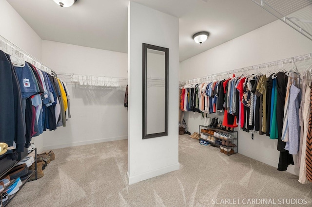 700 Wilmore Dr, Oswego, IL 60543 - spacious closet with carpet flooring