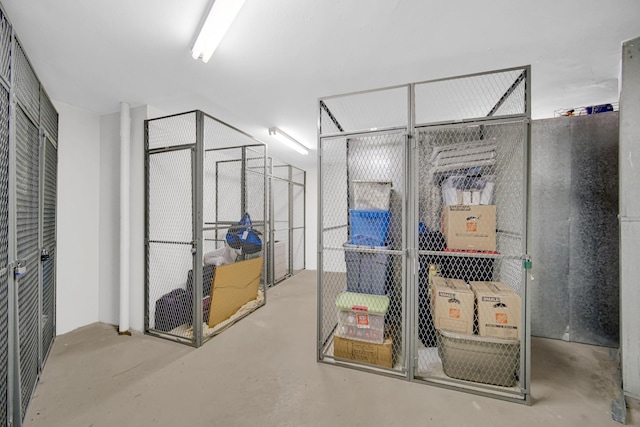 511 Aurora Ave Unit 413, Naperville, IL 60540 - view of storage