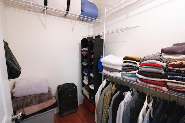 walk in closet featuring wood finished floors