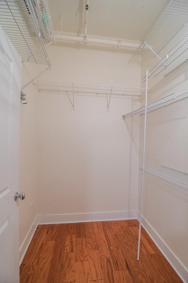 spacious closet featuring light wood-style floors
