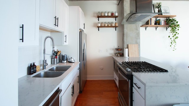 kitchen with appliances with stainless steel finishes, open shelves, island exhaust hood, a sink, and wood finished floors