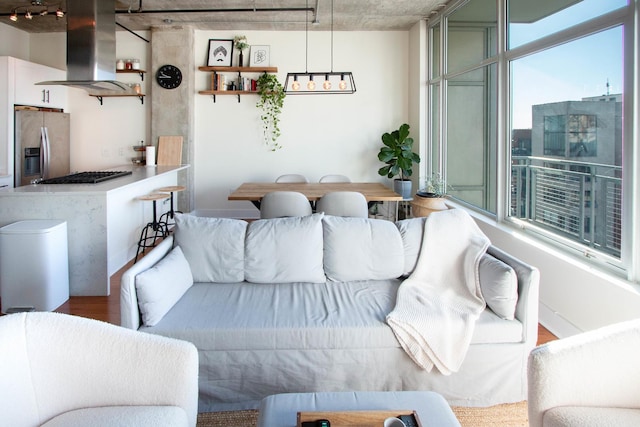 living area featuring wood finished floors