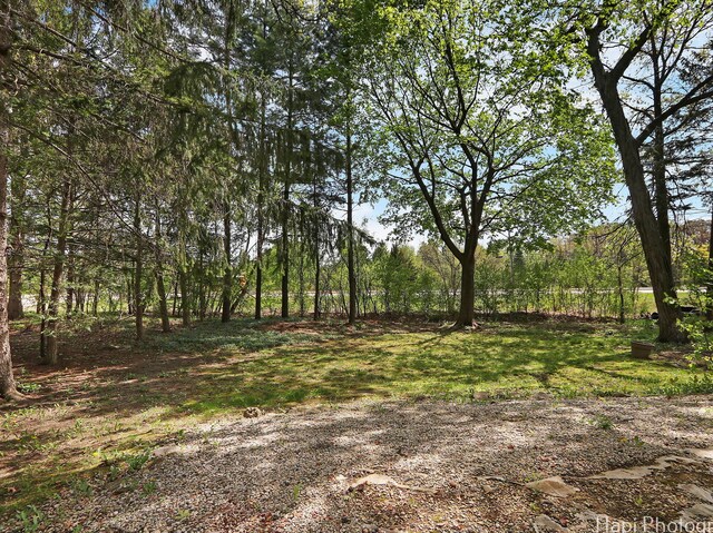 1291 Banbury Rd, Mundelein, IL 60060 - view of yard