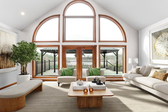 15521 S Mallard Ln, Homer Glen, IL 60491 - living room featuring high vaulted ceiling and plenty of natural light