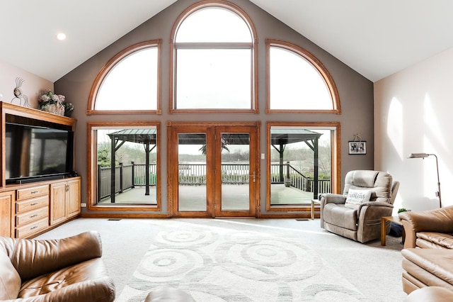 15521 S Mallard Ln, Homer Glen, IL 60491 - living area featuring carpet flooring and high vaulted ceiling