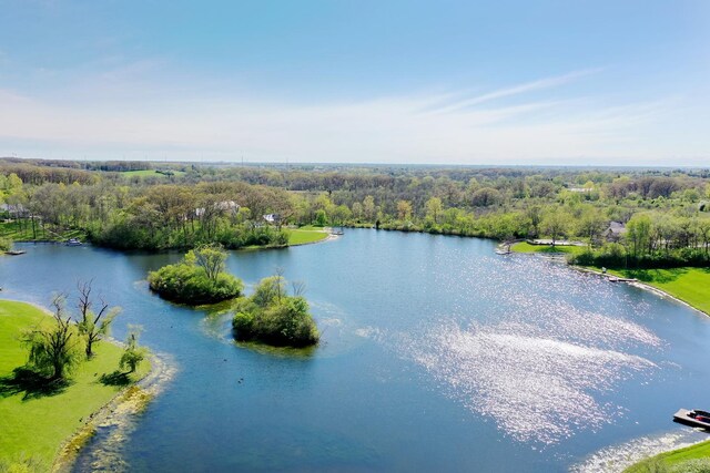 15521 S Mallard Ln, Homer Glen, IL 60491 - bird's eye view of a heavily wooded area and a nearby body of water