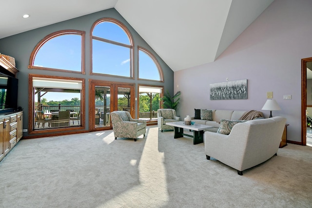 15521 S Mallard Ln, Homer Glen, IL 60491 - photo 35