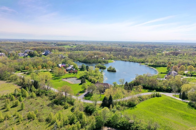15521 S Mallard Ln, Homer Glen, IL 60491 - aerial view of a large body of water and a heavily wooded area