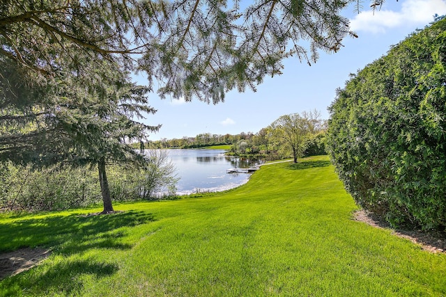 15521 S Mallard Ln, Homer Glen, IL 60491 - water view