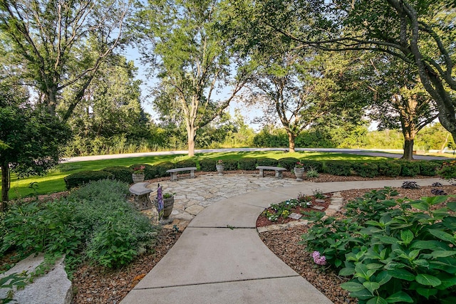 15521 S Mallard Ln, Homer Glen, IL 60491 - photo 74