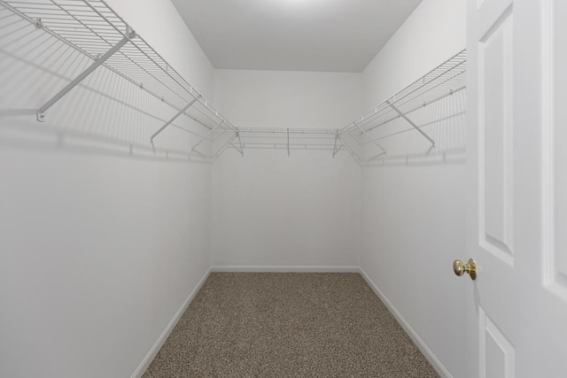 spacious closet featuring carpet flooring