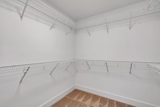 1051 Kinley Dr, New Lenox, IL 60451 - walk in closet with carpet flooring