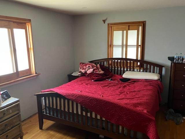 1336 Ardmore Dr, Round Lake Beach, IL 60073 - bedroom featuring light wood-style floors
