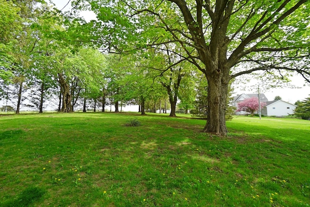 1511 Becker School Rd, Freeport, IL 61032 - view of grassy yard